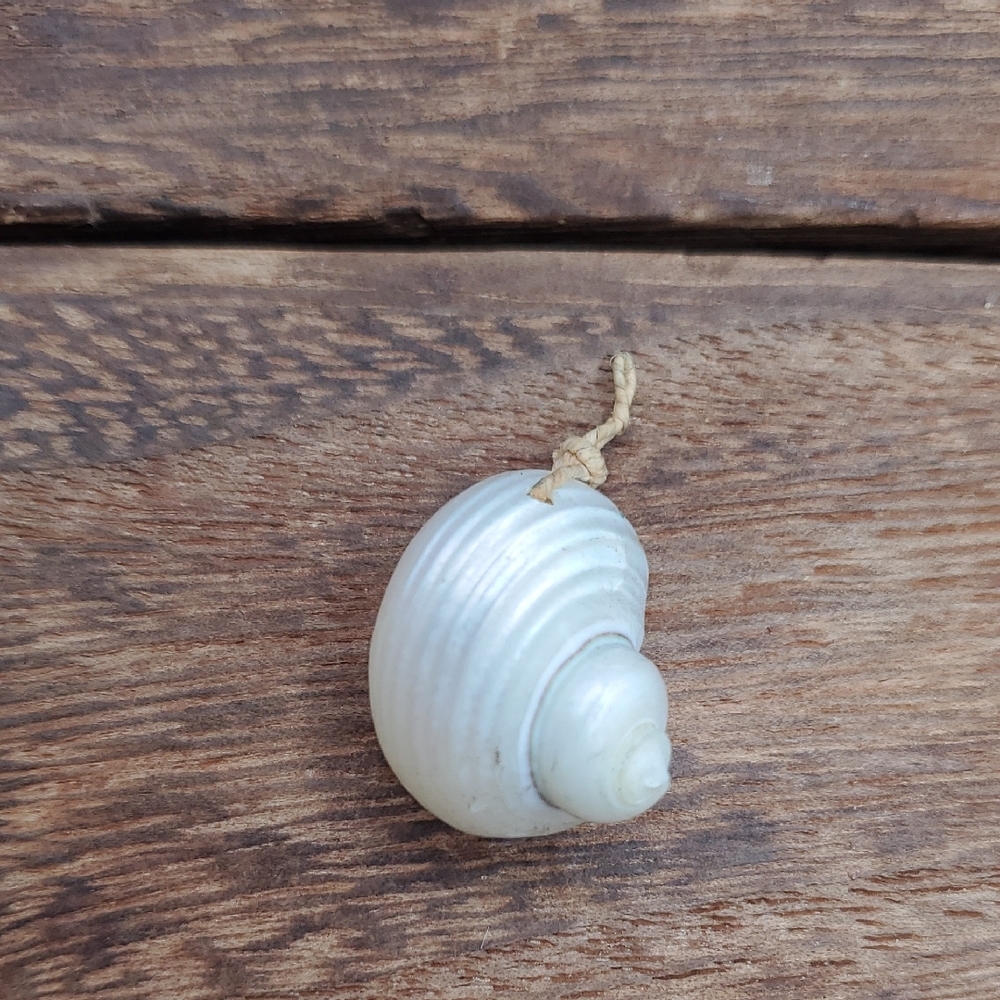 Authentic Beach Seashell Pendant P405